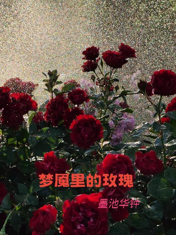 血狱江湖电视剧